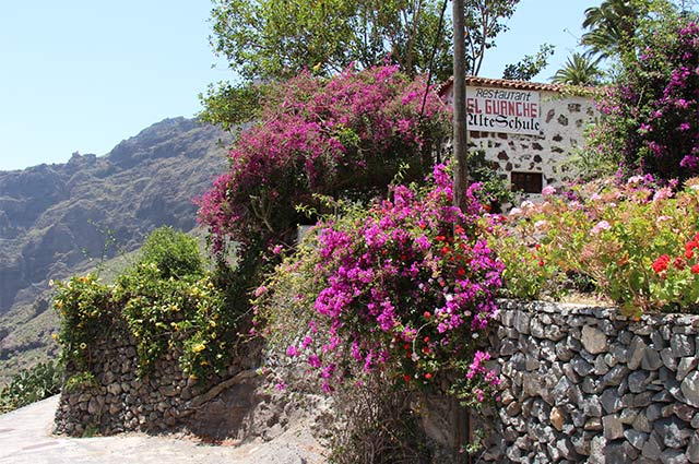 Masca El Guanche Alte Schule 2014