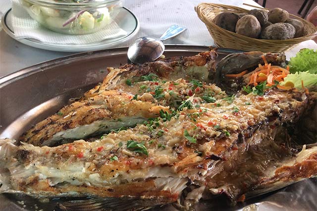 leckerer Fisch 2014