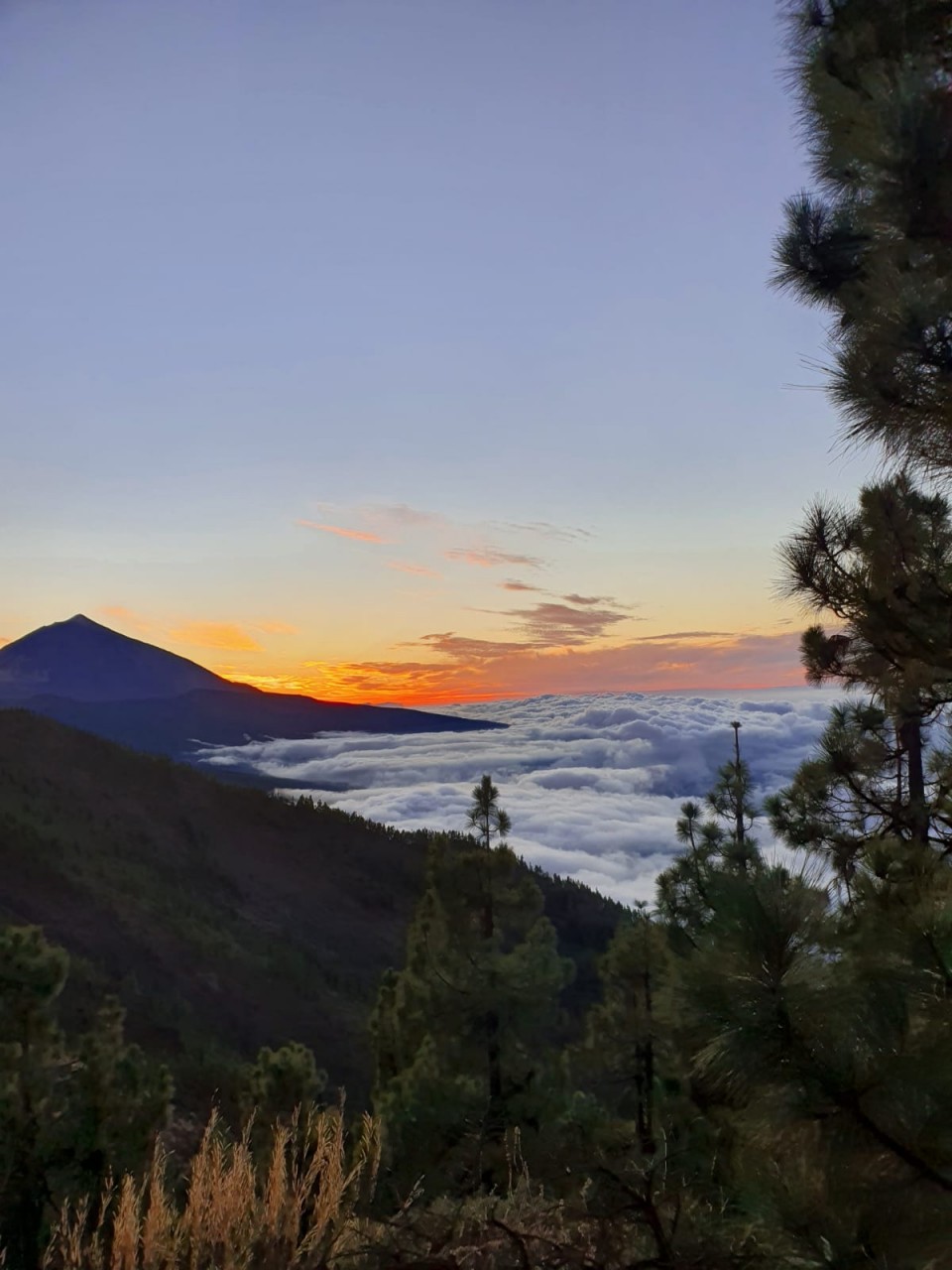 Teide über den Wolken
